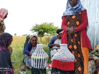 ጊኒር 10