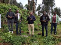 የችግኝ ተከላ መርሀ-ግብር በቢሾፍቱ፣ ሆሳዕና፣ በመልካ ኖኖ ክፍለ ከተማ እና አመያ ዙሪያ ወረዳ ተካሄደ፡፡
