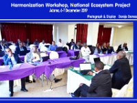 Harmonization Workshop, National Ecosystem Assessment Project  Adama, Dec.6-7,2019
